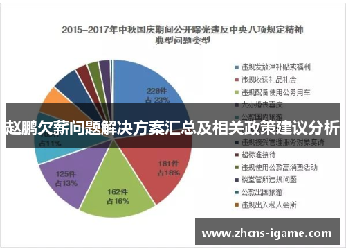 赵鹏欠薪问题解决方案汇总及相关政策建议分析