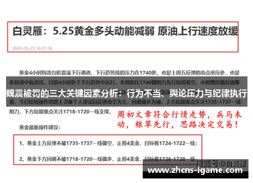 魏震被罚的三大关键因素分析：行为不当、舆论压力与纪律执行