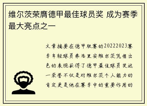 维尔茨荣膺德甲最佳球员奖 成为赛季最大亮点之一